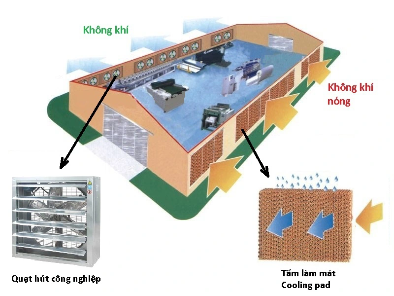 NHỮNG TIỆN ÍCH VÀ ƯU ĐIỂM KHI DÙNG MÁY LÀM MÁT HƠI NƯỚC ITC