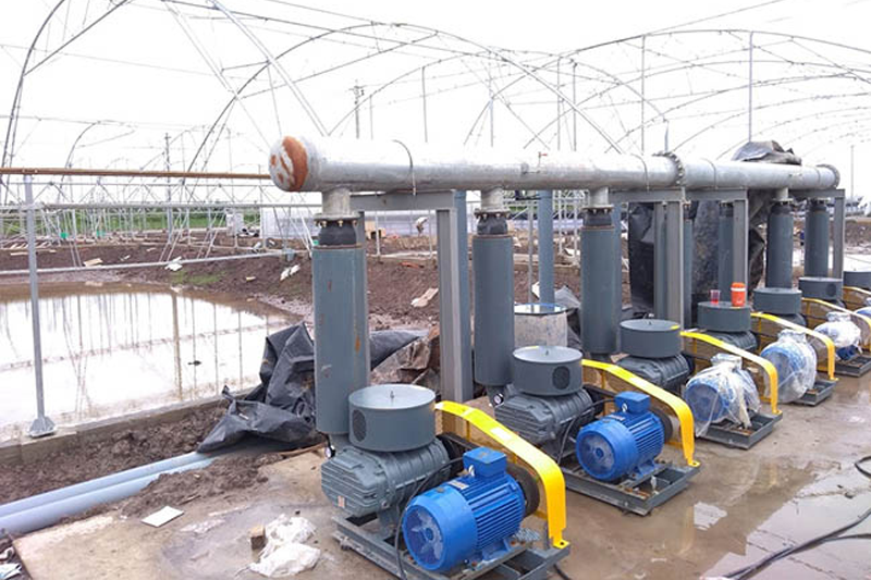 Máy thổi khí công nghiệp 1 Máy thổi khí công nghiệp