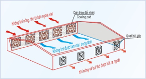 TẤM LÀM MÁT COOLING PAD