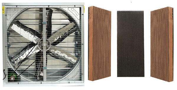 Hệ Thống Làm Mát Nhà Xưởng Bằng Tấm Cooling Pad ITC | Tiết kiệm & hiệu quả 3 làm mát bằng tấm Cooling Pad