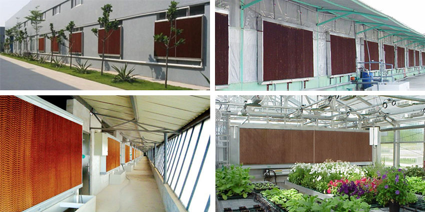 Ứng Dụng Cooling Pad Trong Nhà Xưởng & Trang Trại