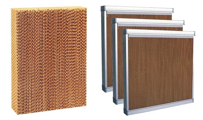 Giấy Cellulose cao cấp: độ thấm nước cao, bền bỉ, không mục.