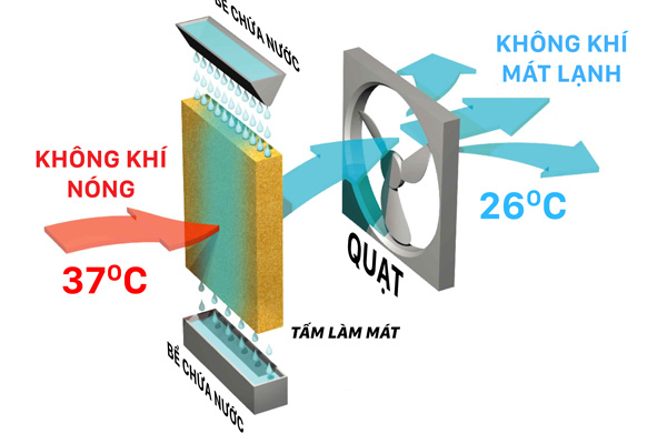 Nguyên Lý Hoạt Động Của Tấm Cooling Pad