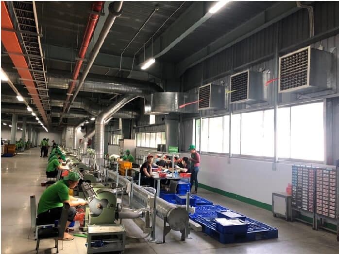 Ứng Dụng Quạt Công Nghiệp trong Các Nhà Máy Hiện Đại